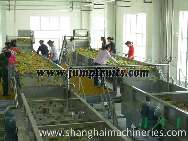 Wine Filling Line Machinery And Equipment